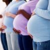 Pregnant Woman Group In Row