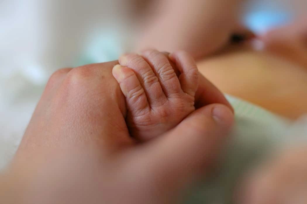 Newborn little hand hold by adult hand